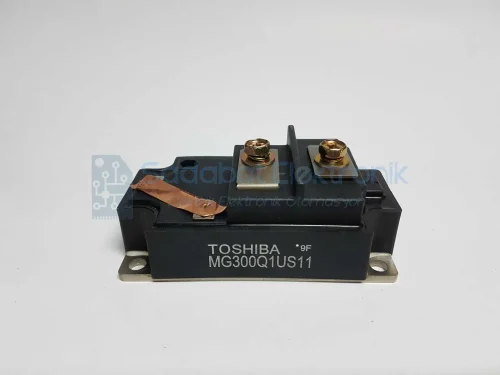 MG300Q1US11