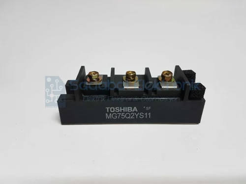 MG75Q2YS11