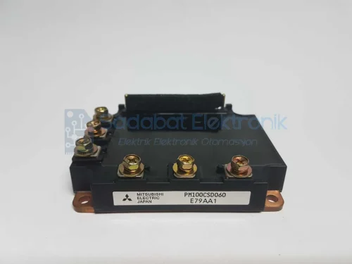 PM100CSD060