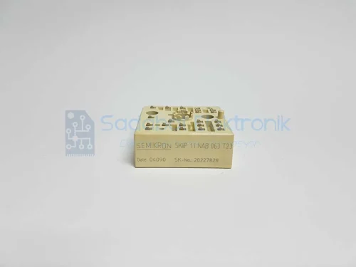 SKİİP11NAB063T23