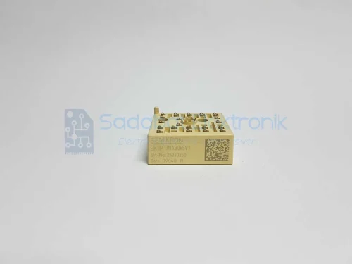 SKİİP13NAB065V1