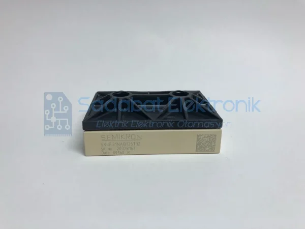 SKİİP31NAB125T12
