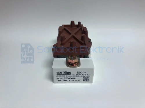 SKİİP613GB123CT