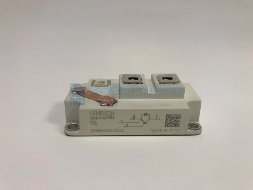 SKM600GA124D